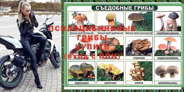 мяу мяу мука Верея